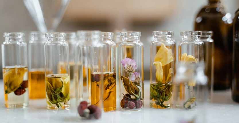 Lee más sobre el artículo Extractos de Plantas Aromáticas en Productos  de Limpieza Biodegradable: Beneficios para tu Hogar y Salud